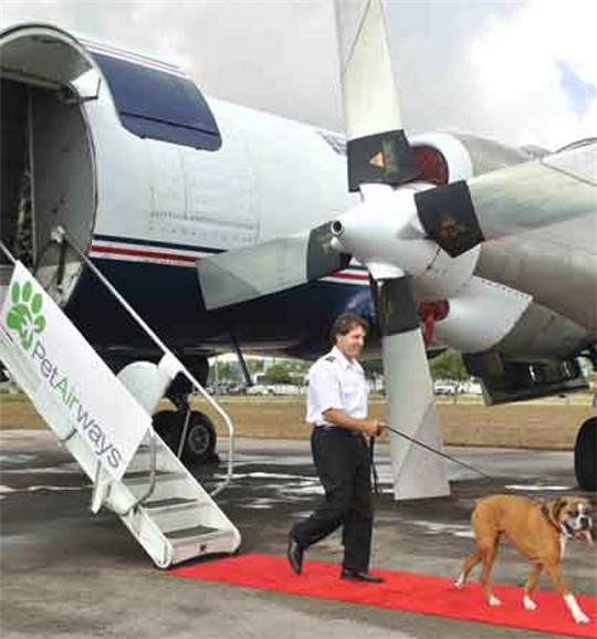 Pet Airways